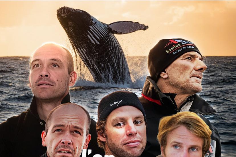 Les skippeurs évoquent leur crainte des collisions avec les baleines. (L'Équipe)