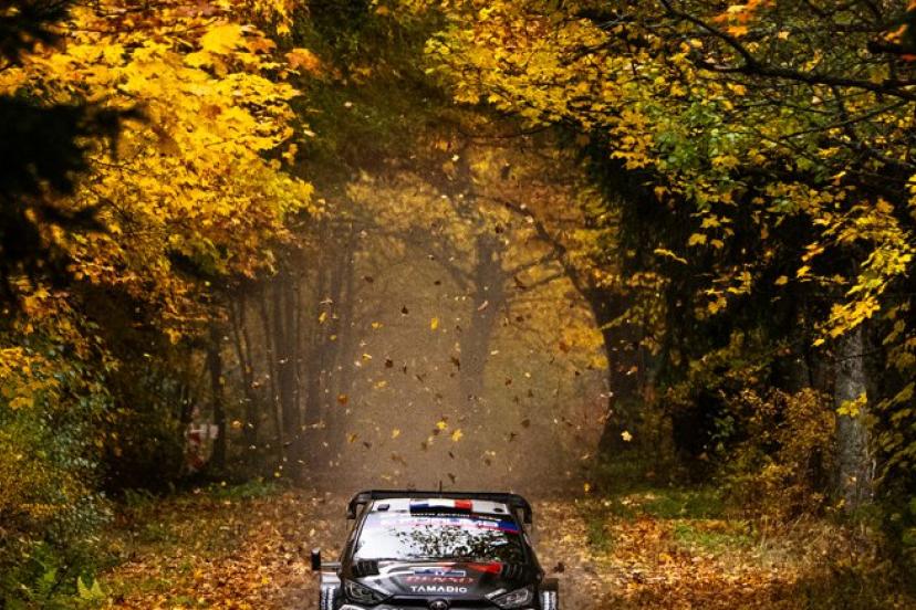 Sébastien Ogier bien parti pour sauver quelques points après sa sortie de route de samedi au Rallye d'Europe centrale. (Jaanus Ree/Red Bull Content Pool)