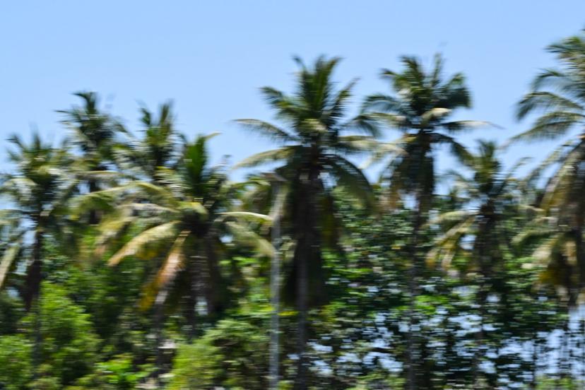 L'Italien Marco Bezzecchi a battu le record du tour sur le circuit de Mandalika durant les qualifications du GP d'Indonésie. (L. Swiderek/Photopsp)
